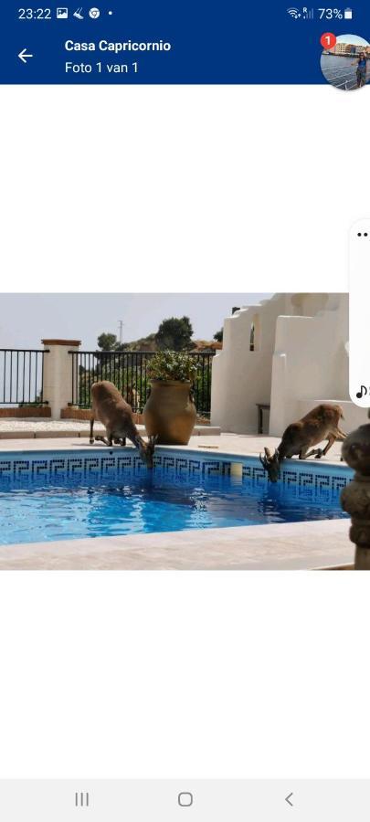 Casa Capricornio Bed & Breakfast มาร์เบยา ภายนอก รูปภาพ